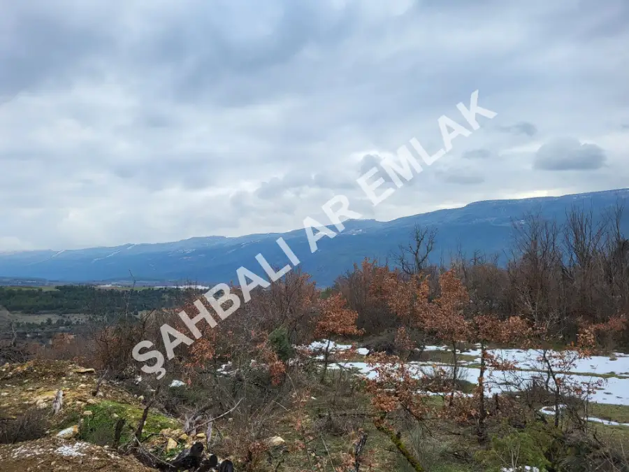 İlan Adı