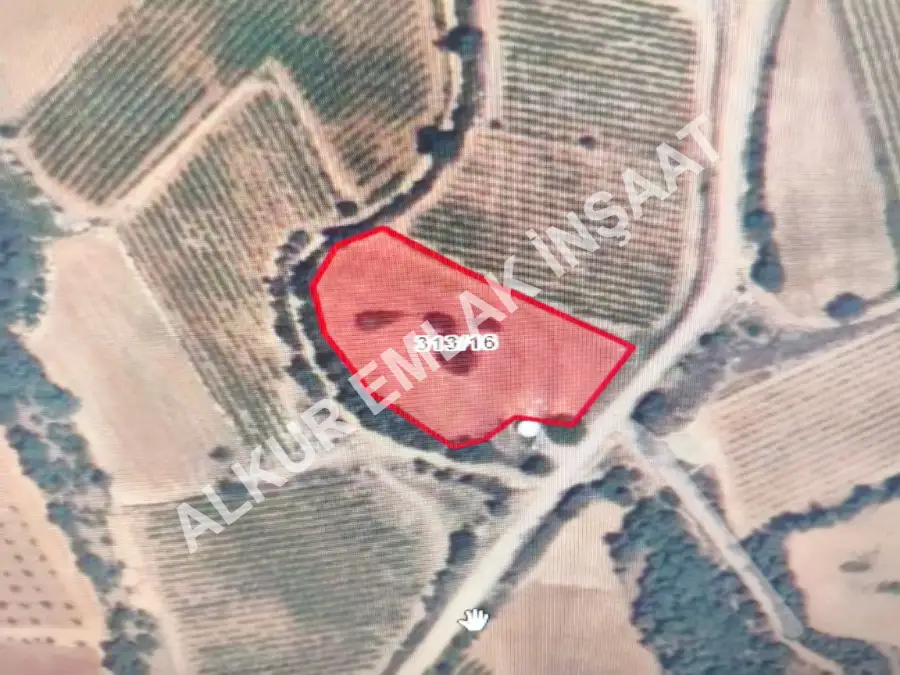 İlan Adı