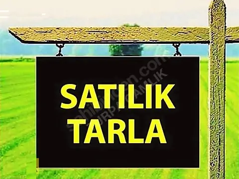 İlan Adı