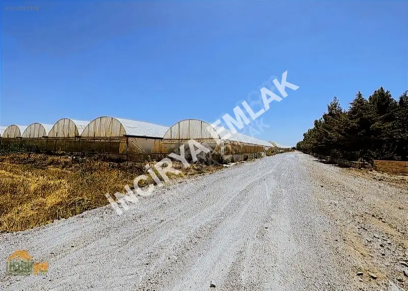 İlan Adı
